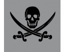 Jolly Roger Pirate Ship Skull Cross Bones Swords Symbol